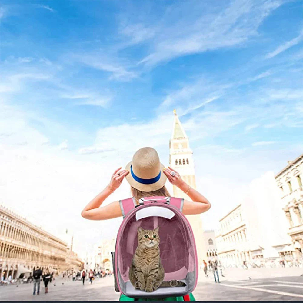 Transparent Bubble Pet Carrier Backpack for Cats & Small Pets, Breathable Travel Carrier with Zipper