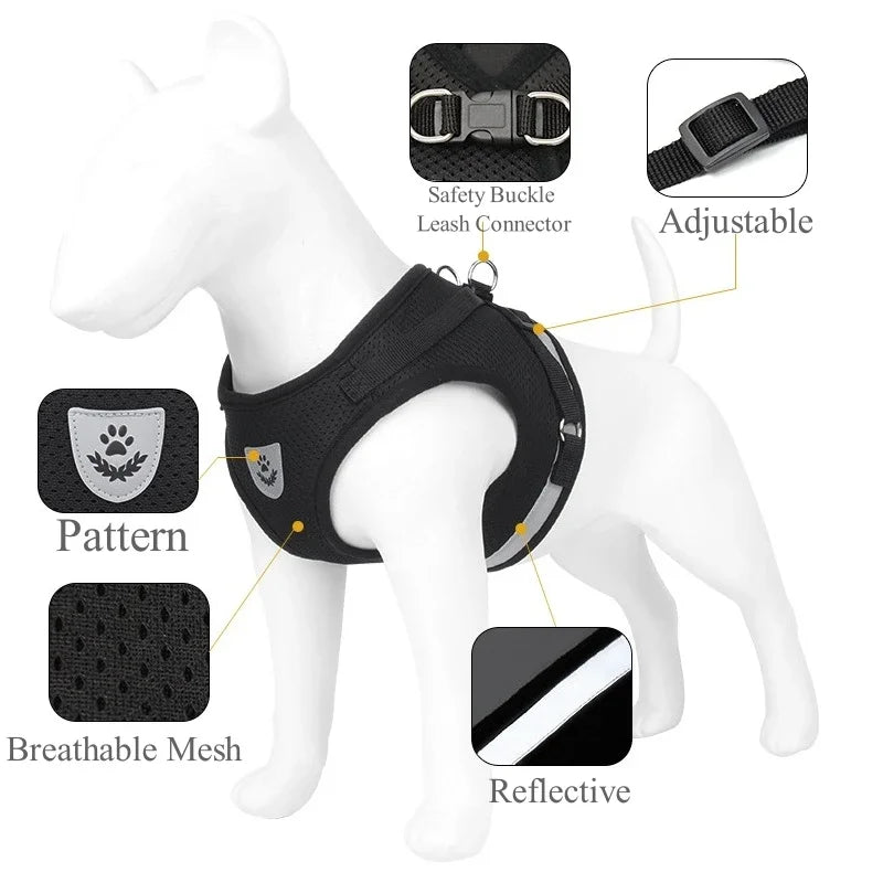 Adjustable Pet Harness & Leash Set – Vest Walking Lead for Dogs & Cats (Puppy & Kitten)