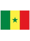 Senegalese Flag Kids T-Shirt