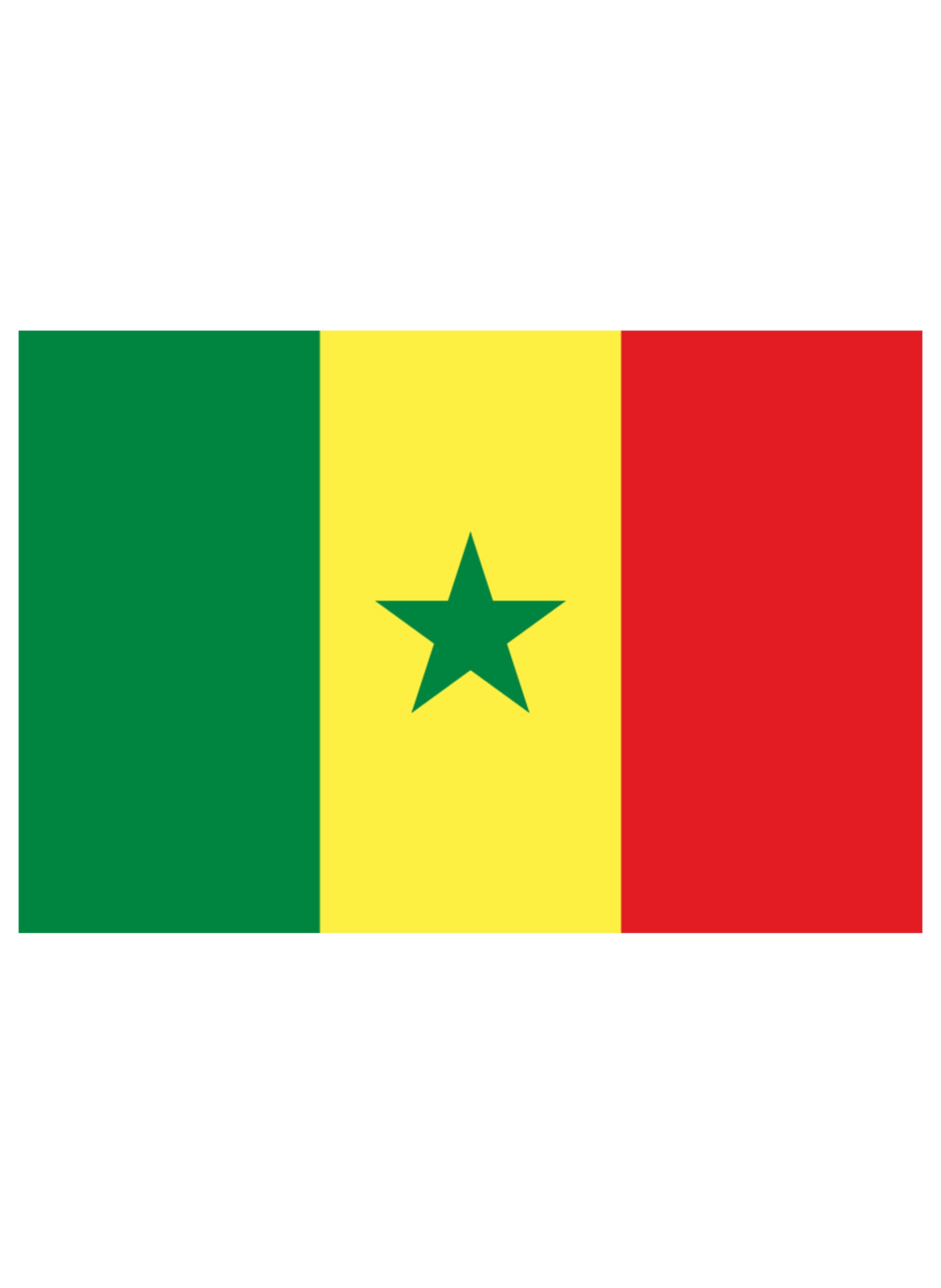 Senegalese Flag Kids T-Shirt