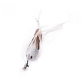 Interactive Feather Cat Toy – Feather Teaser for Cat Play & Exercise