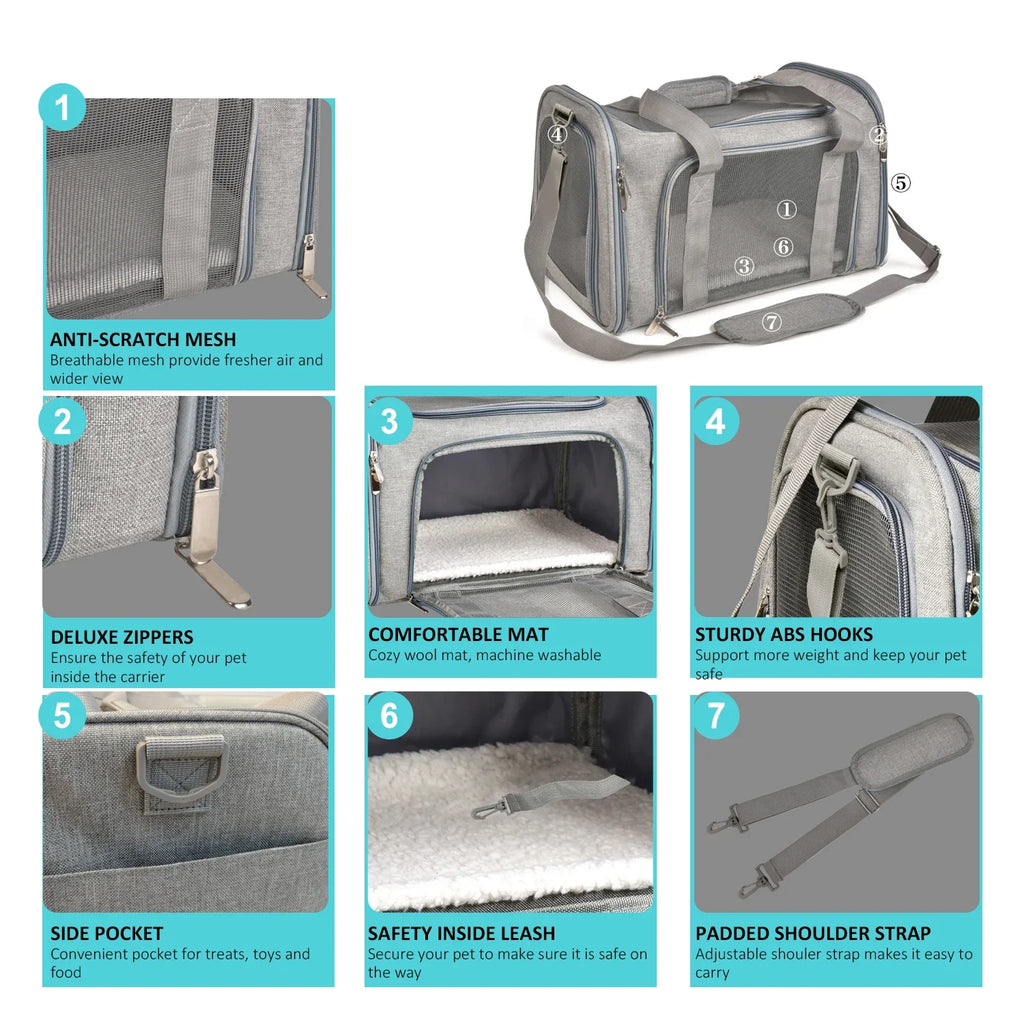 Airline-Approved Soft-Side Pet Carrier Backpack for Small Dogs & Cats — M (44×28×28 cm / 17.3×11×11 in) & L (50×34×34 cm / 19.7×13.4×13.4 in), Up to 12 kg (26.5 lb)