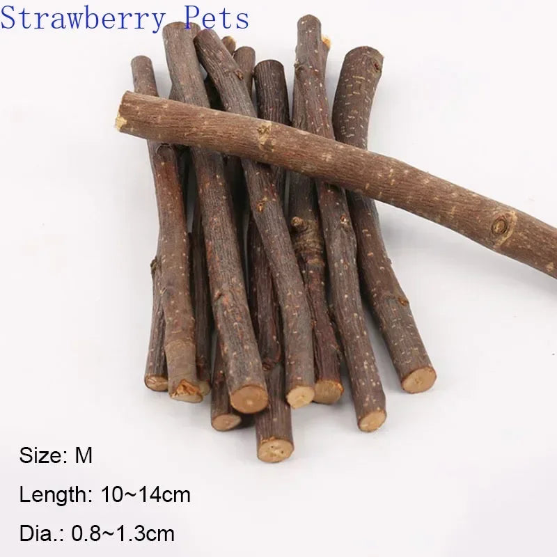 Natural Apple Wood Chew Sticks for Small Pets 5/10/40 Pack - Hamster Rabbit Chinchilla Squirrel Parrot Dental Toy