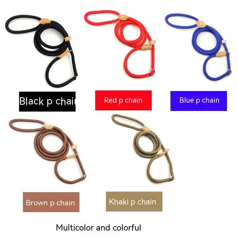 Adjustable Nylon Dog Collar and Harness with Quick-Release Leash, Lightweight Durable Pet Lead for Dogs and Cats