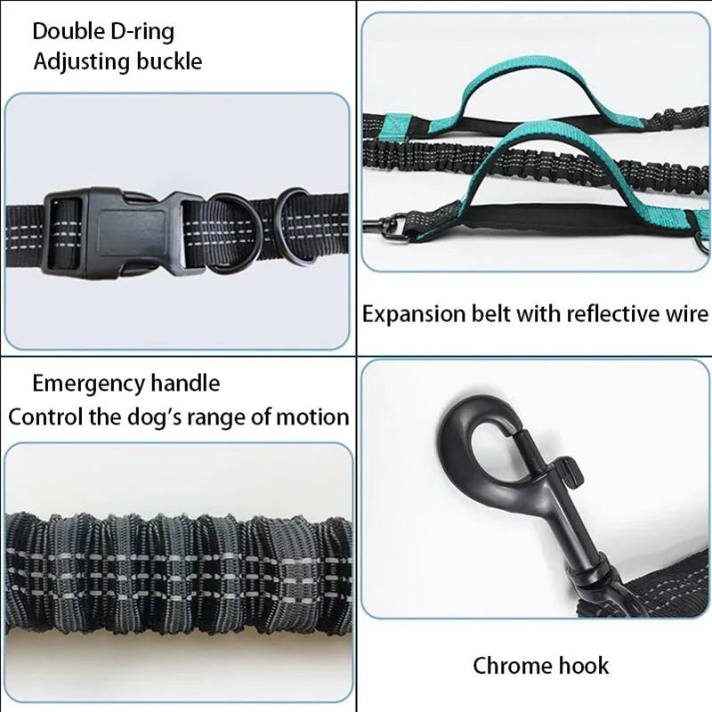 Hands-Free Double Elastic Reflective Dog Leash — Retractable Running Waist Belt, Adjustable Waist 27.6–47.2 in (70–120 cm), Leash 63–102 in (160–260 cm)
