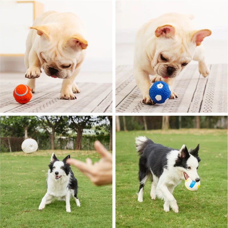 Dog Squeaky Latex Ball Chew Toy – Dental Cleaning Training & Interactive Play (Rugby, Tennis, Volleyball, Football, Basketball Shapes)
