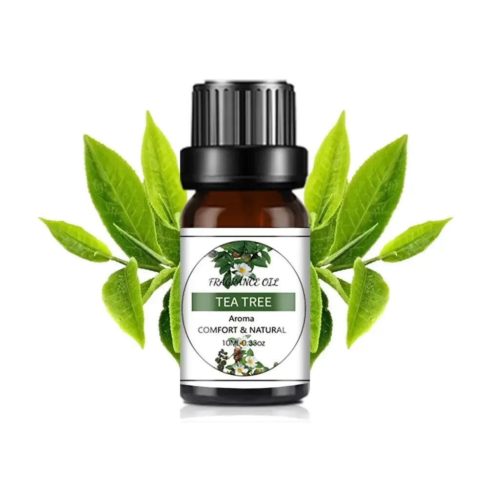 Mango Pineapple Fragrance Oil 10ml (0.34 fl oz) Natural Fruit Scent for Diffusers, Candles & Soap Making