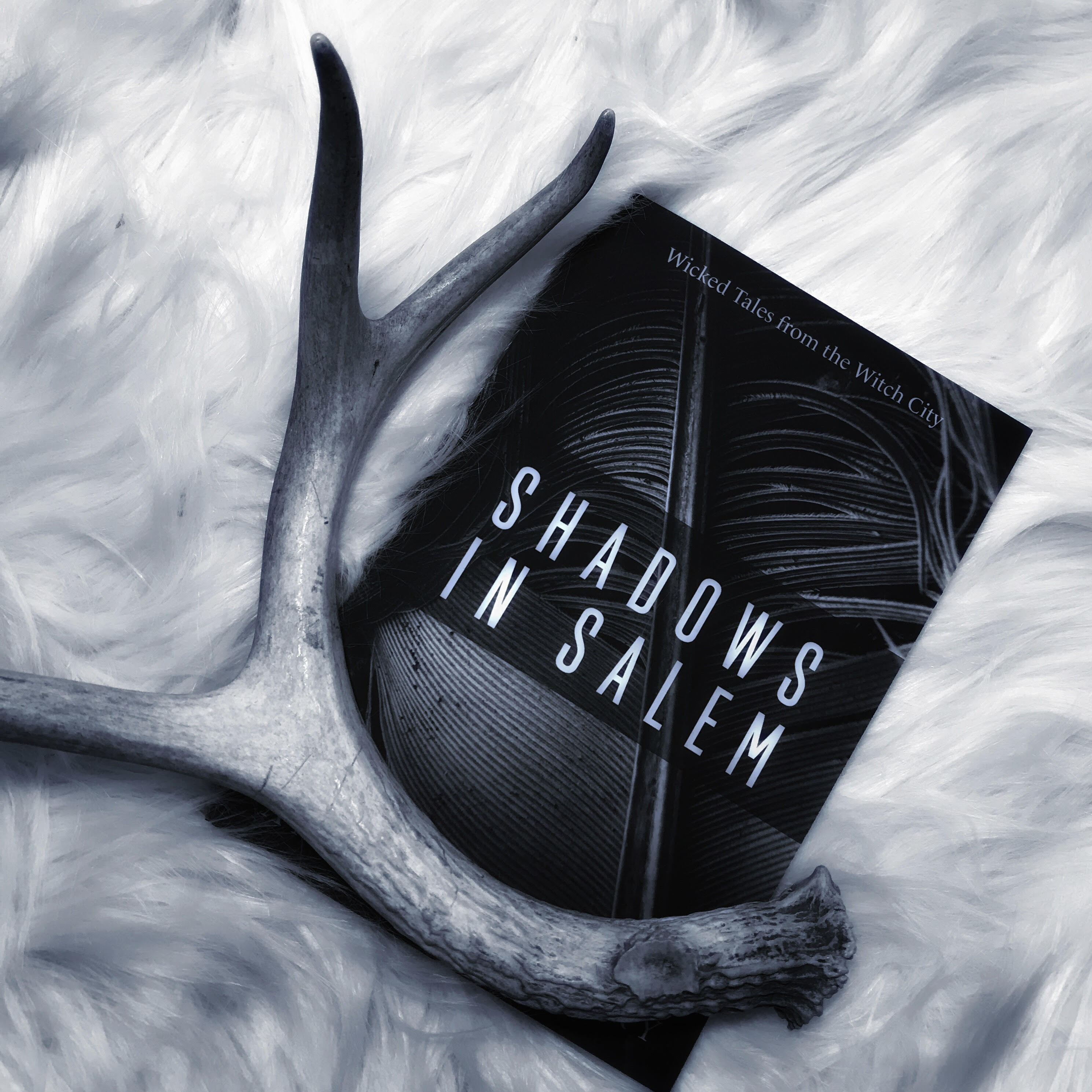 Shadows in Salem Paperback