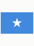 Somali Flag Kids T-Shirt