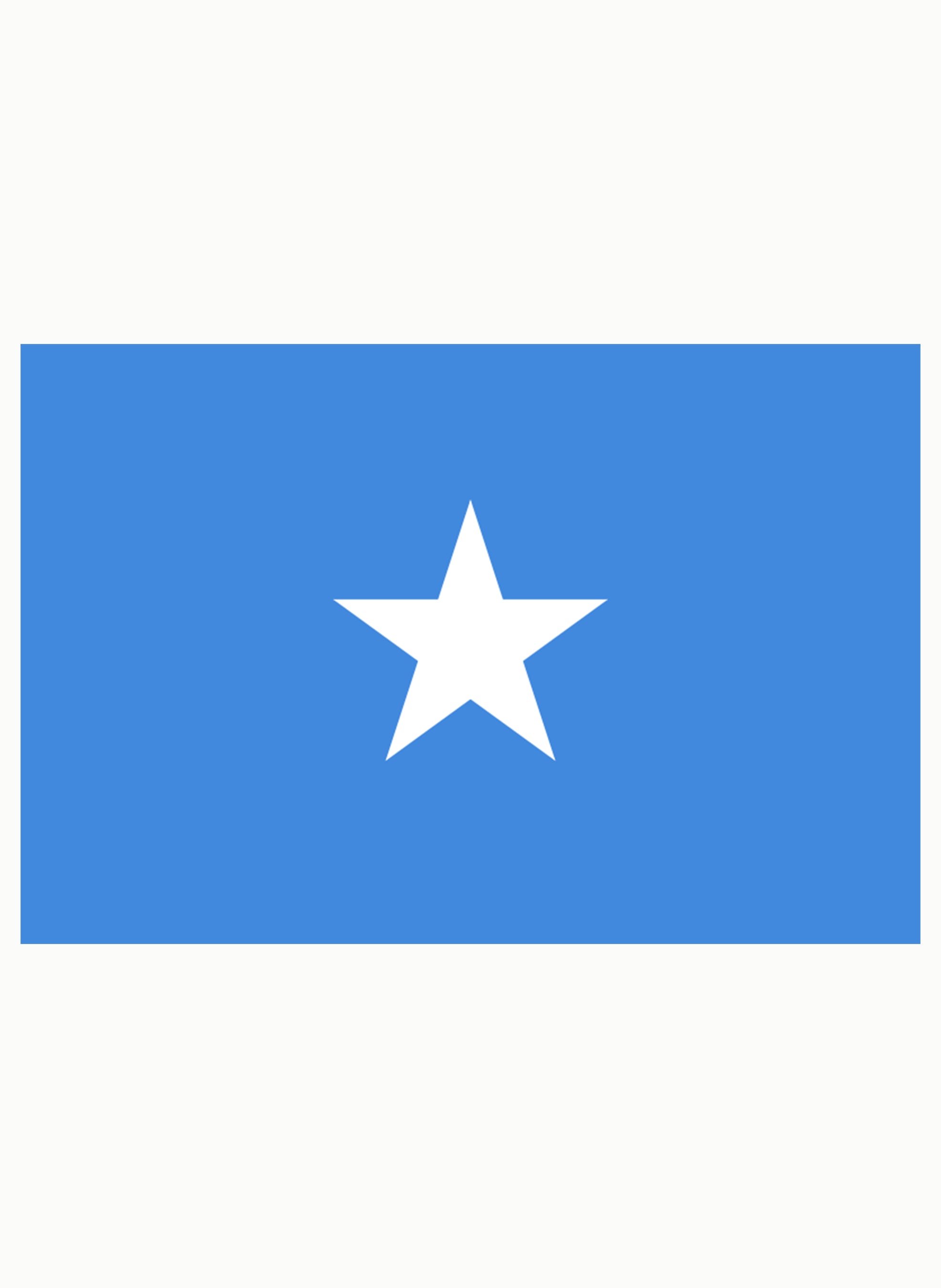Somali Flag Kids T-Shirt