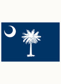 South Carolina State Flag Kids T-Shirt