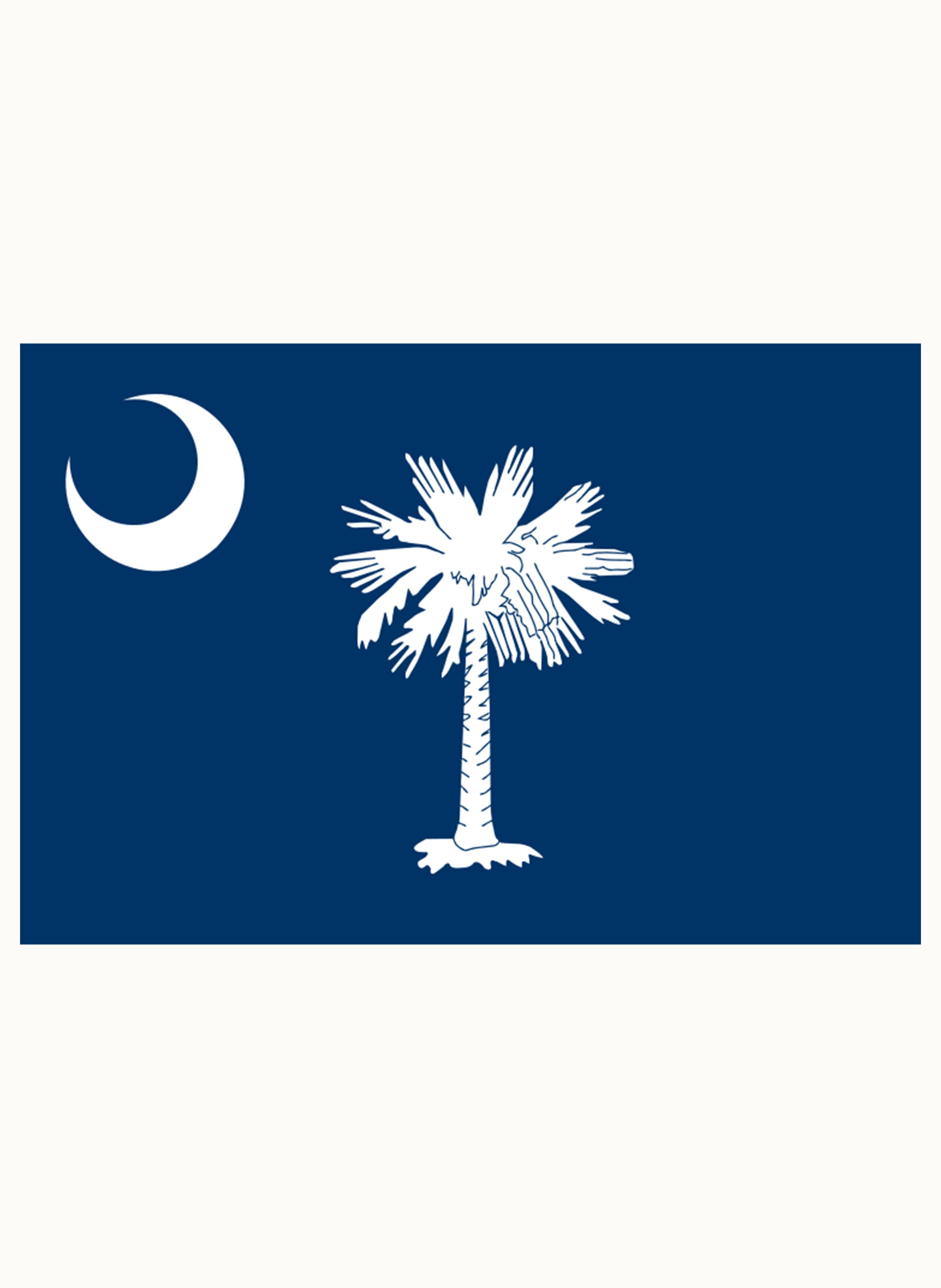 South Carolina State Flag Kids T-Shirt
