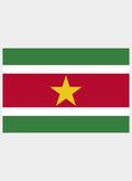 Surinamese Flag Kids T-Shirt