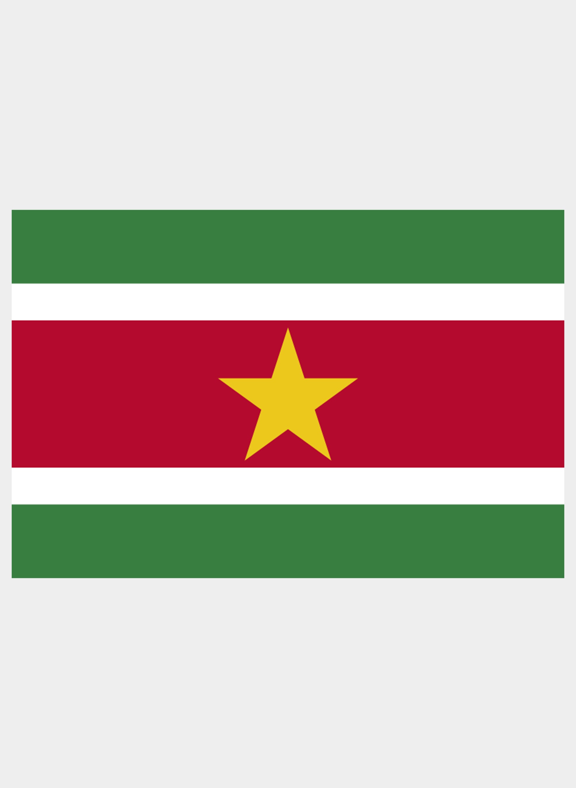 Surinamese Flag Kids T-Shirt