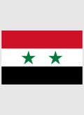 Syrian Flag Kids T-Shirt