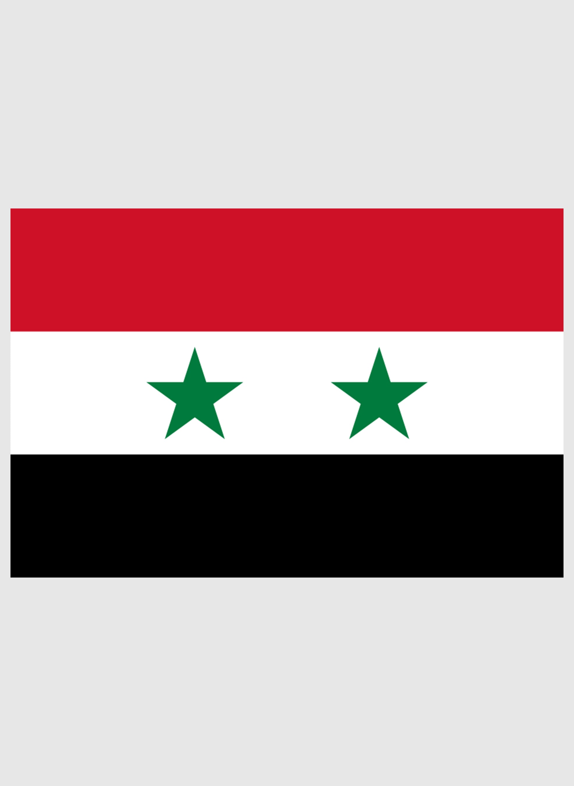 Syrian Flag Kids T-Shirt