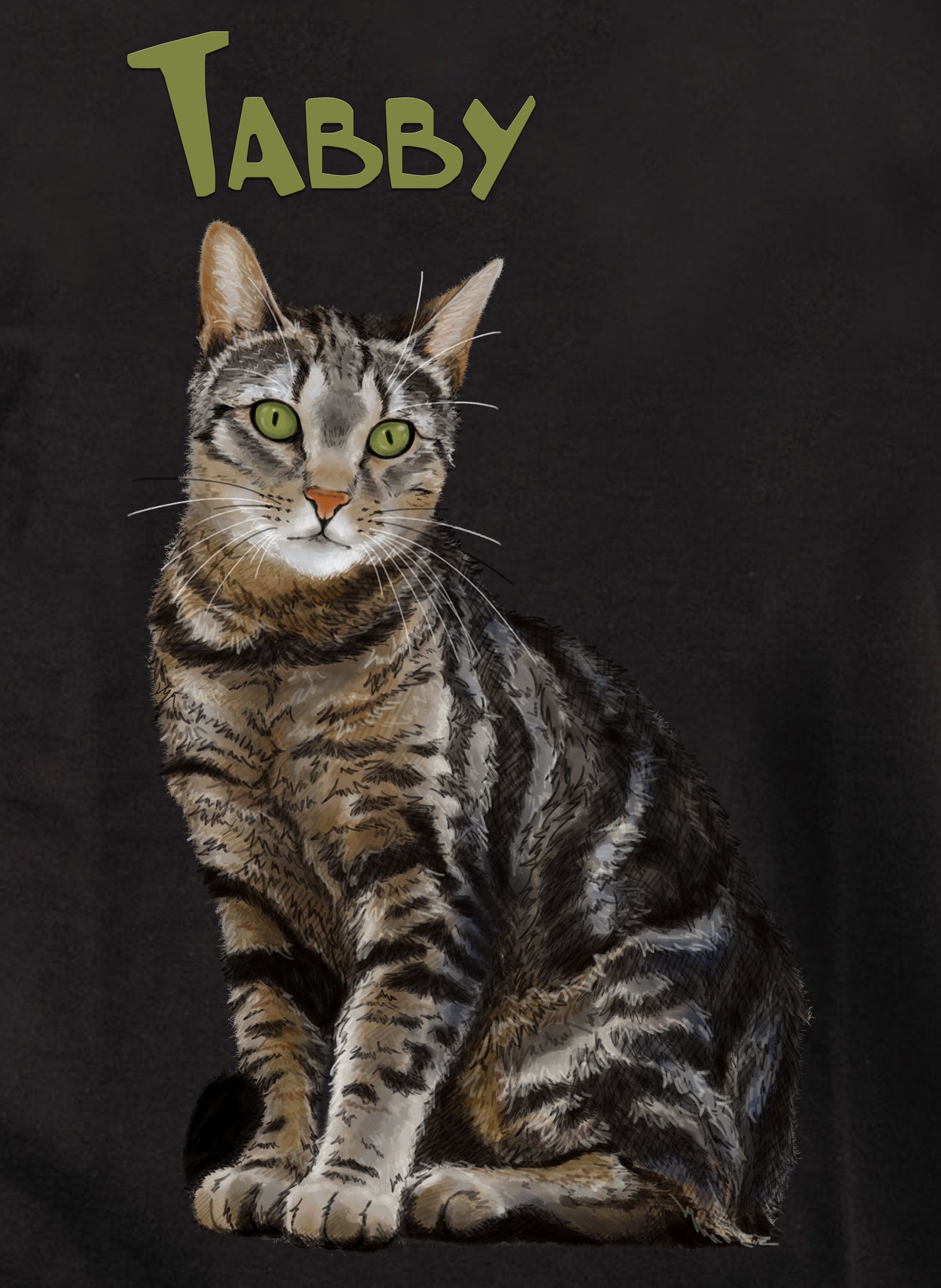 Tabby Cat T-Shirt