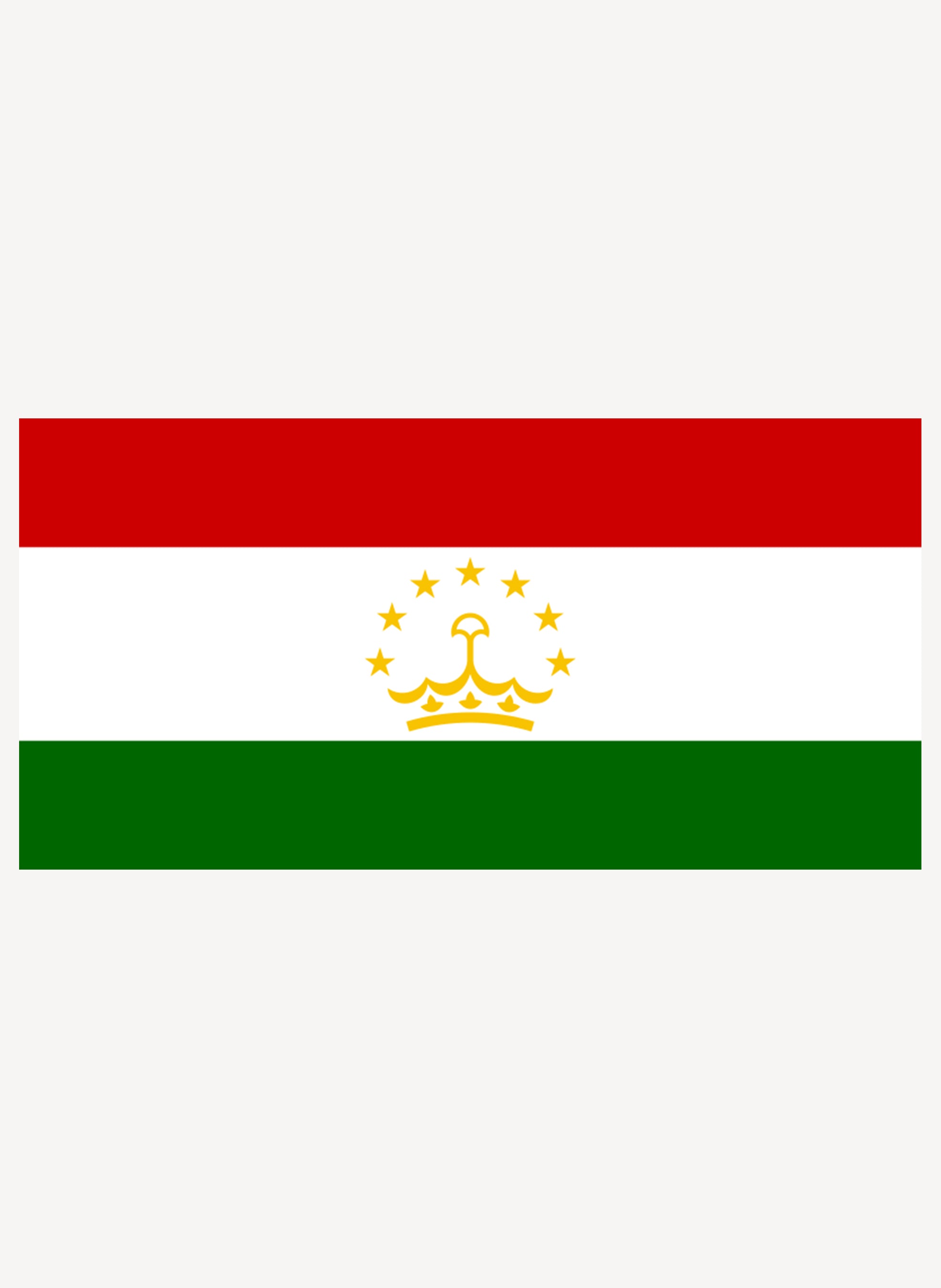 Tajikistani Flag Kids T-Shirt