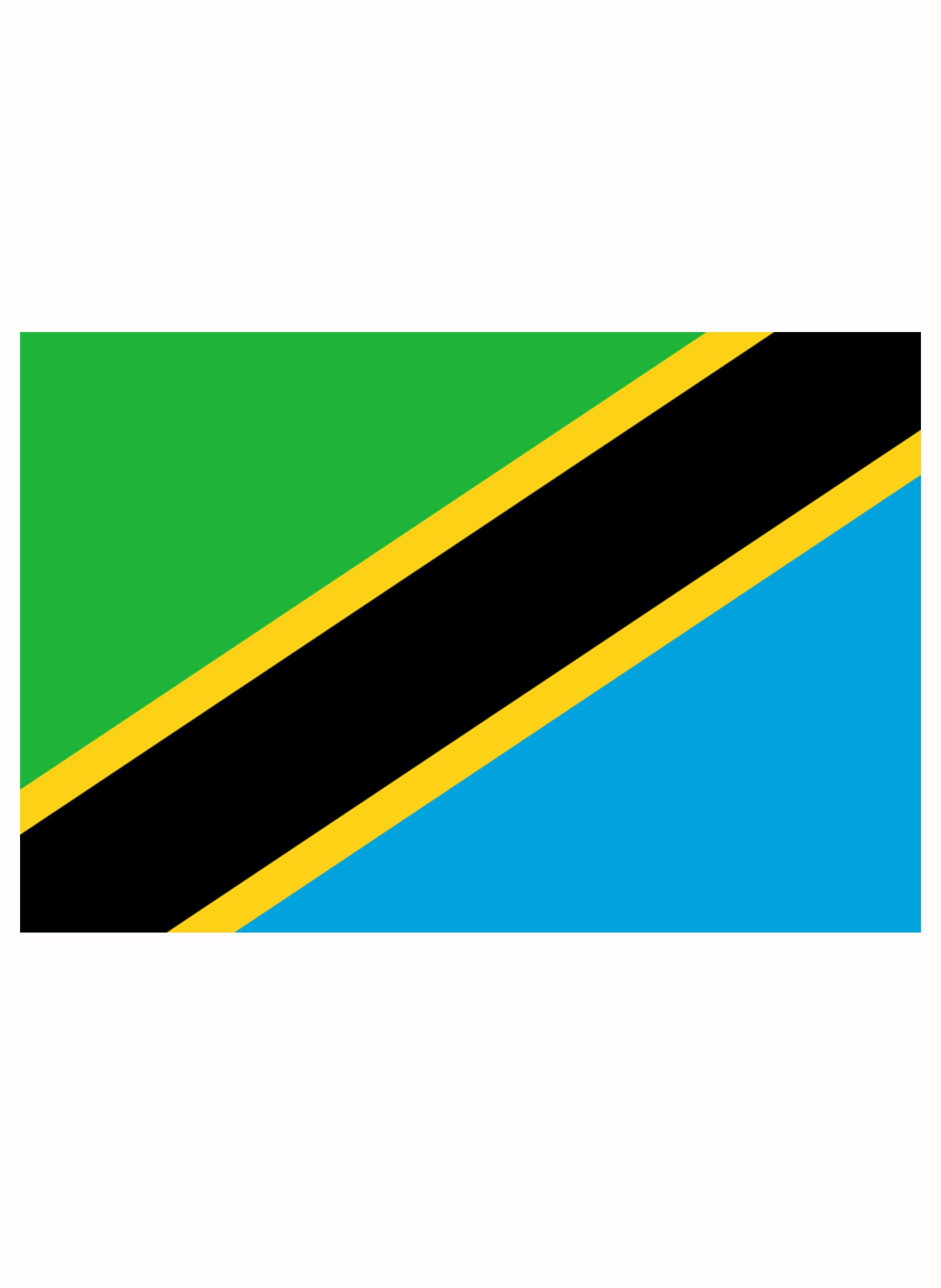 Tanzanian Flag Kids T-Shirt