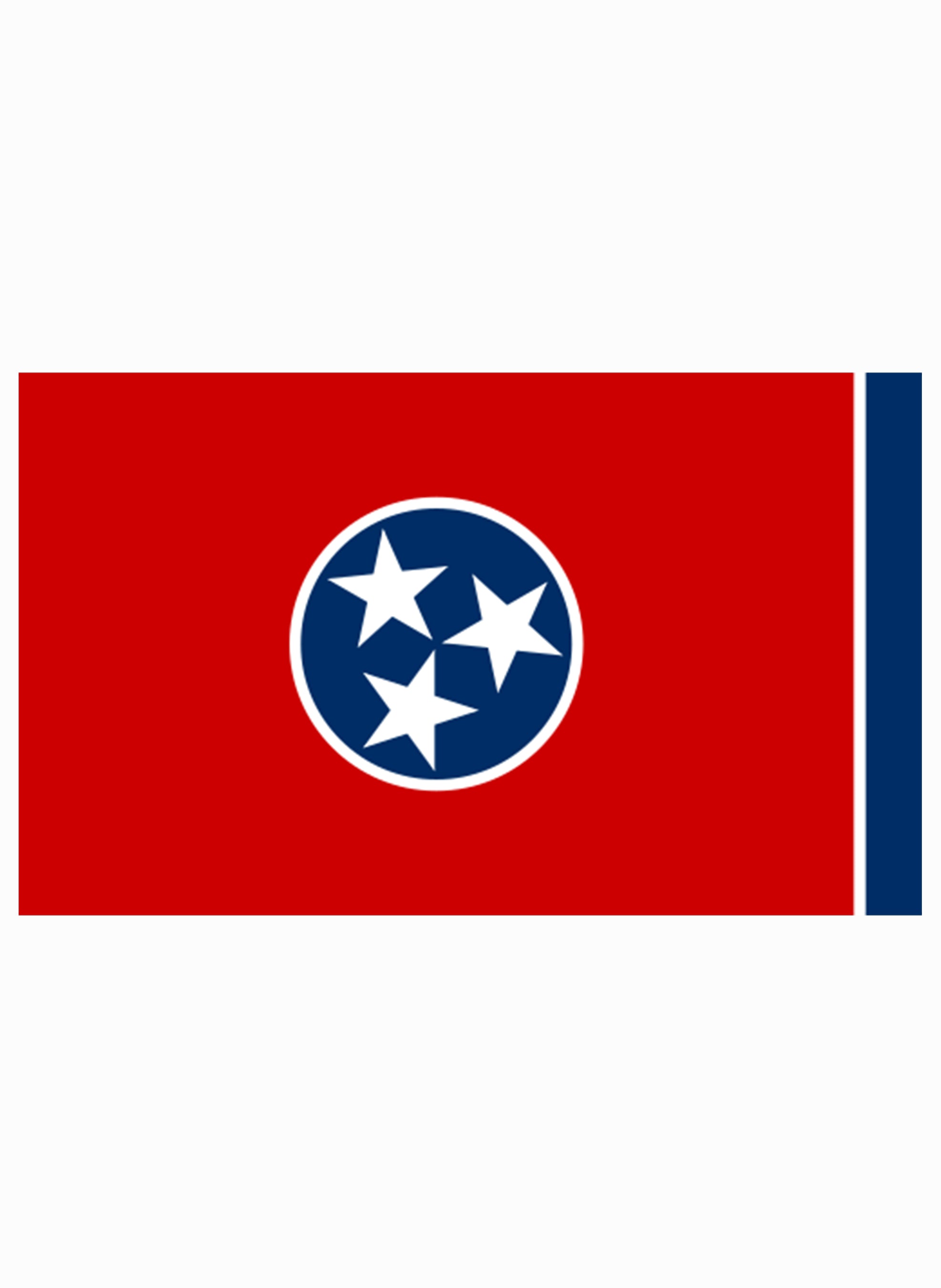Tennessee State Flag Kids T-Shirt