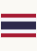 Thailand Flag Kids T-Shirt