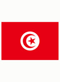 Tunisian Flag Kids T-Shirt