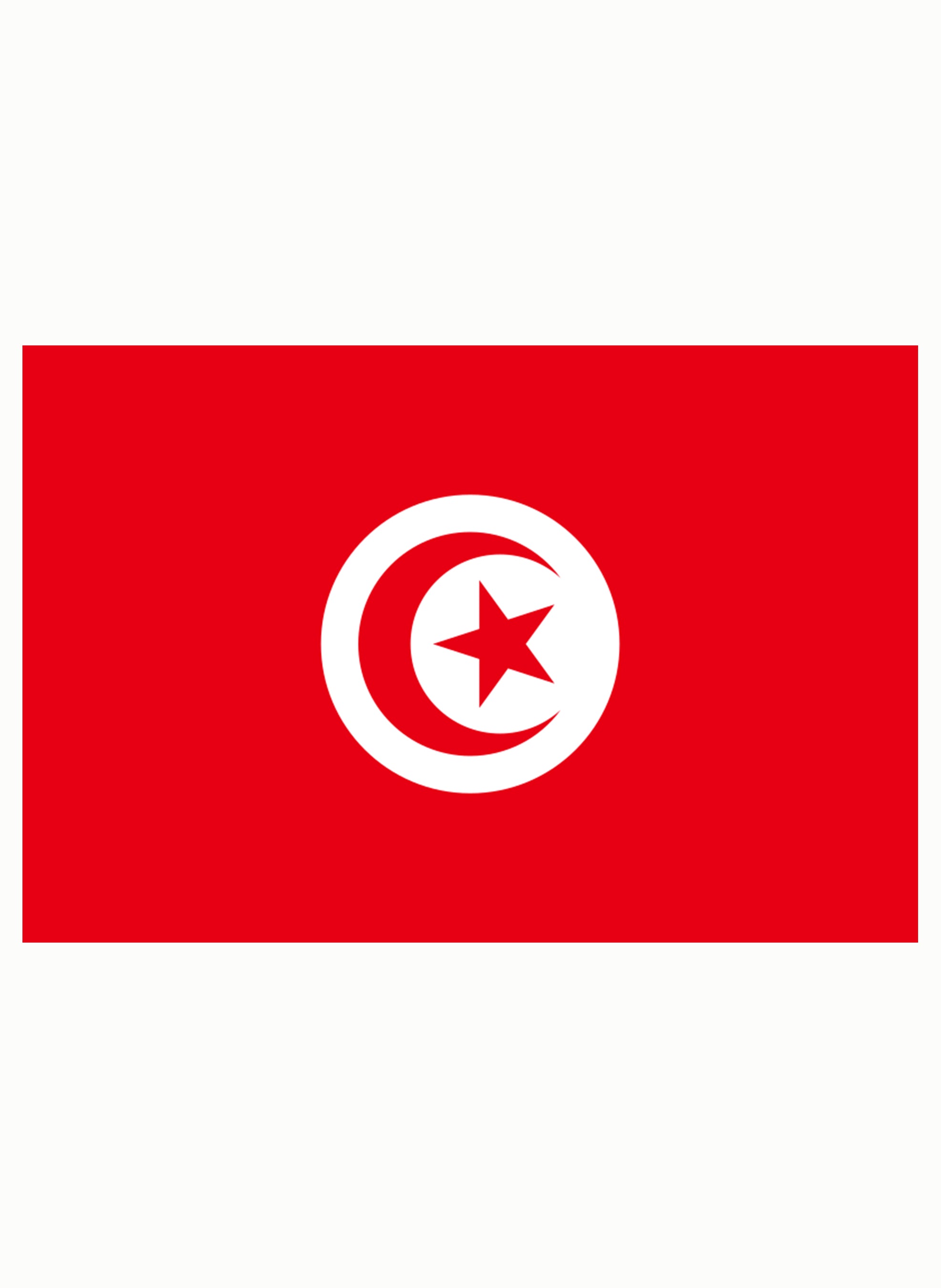 Tunisian Flag Kids T-Shirt