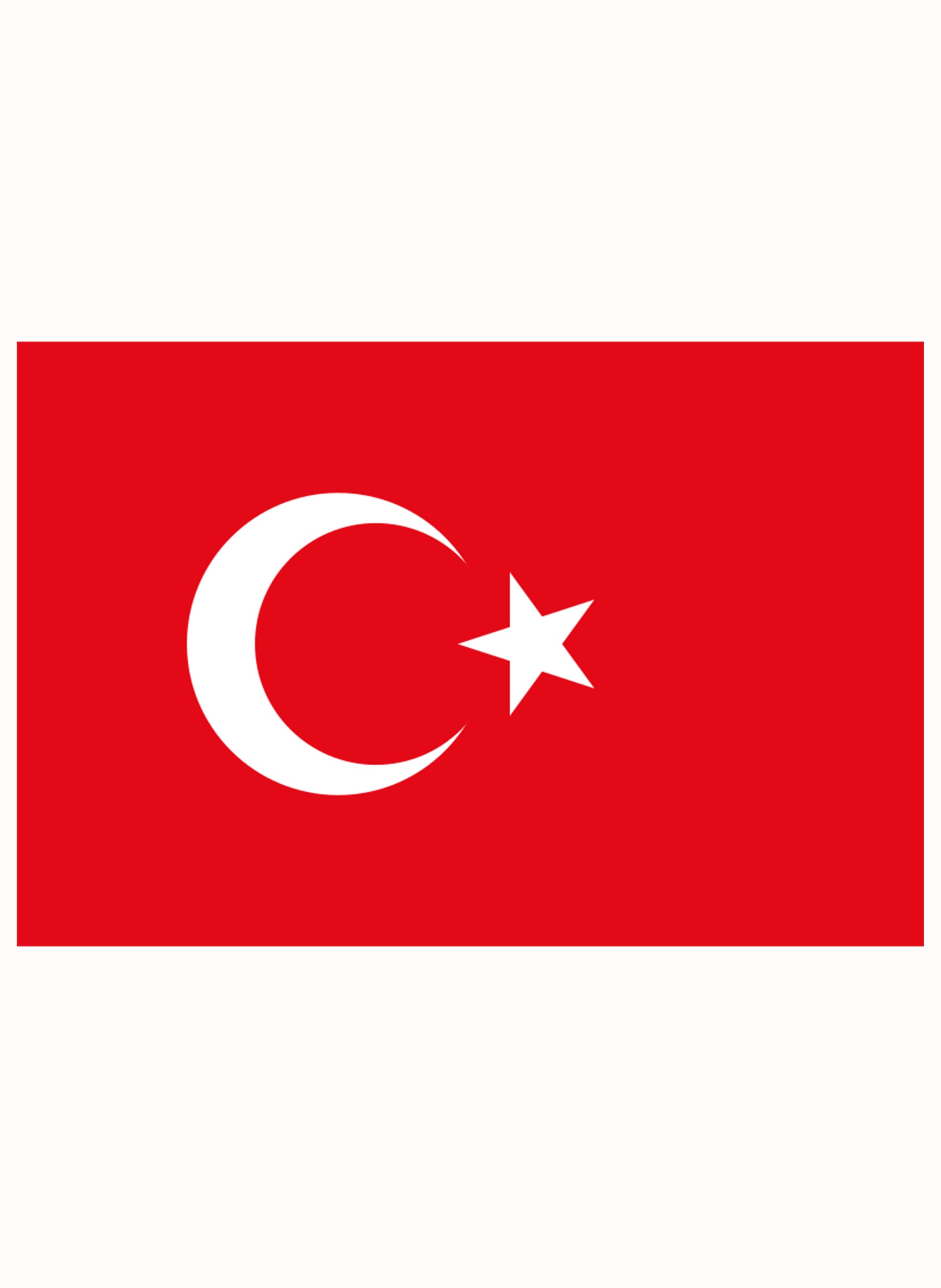 Turkish Flag Kids T-Shirt