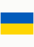 Ukrainian Flag Kids T-Shirt