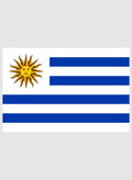 Uruguayan Flag Kids T-Shirt