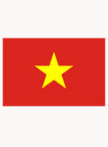 Vietnamese Flag Kids T-Shirt