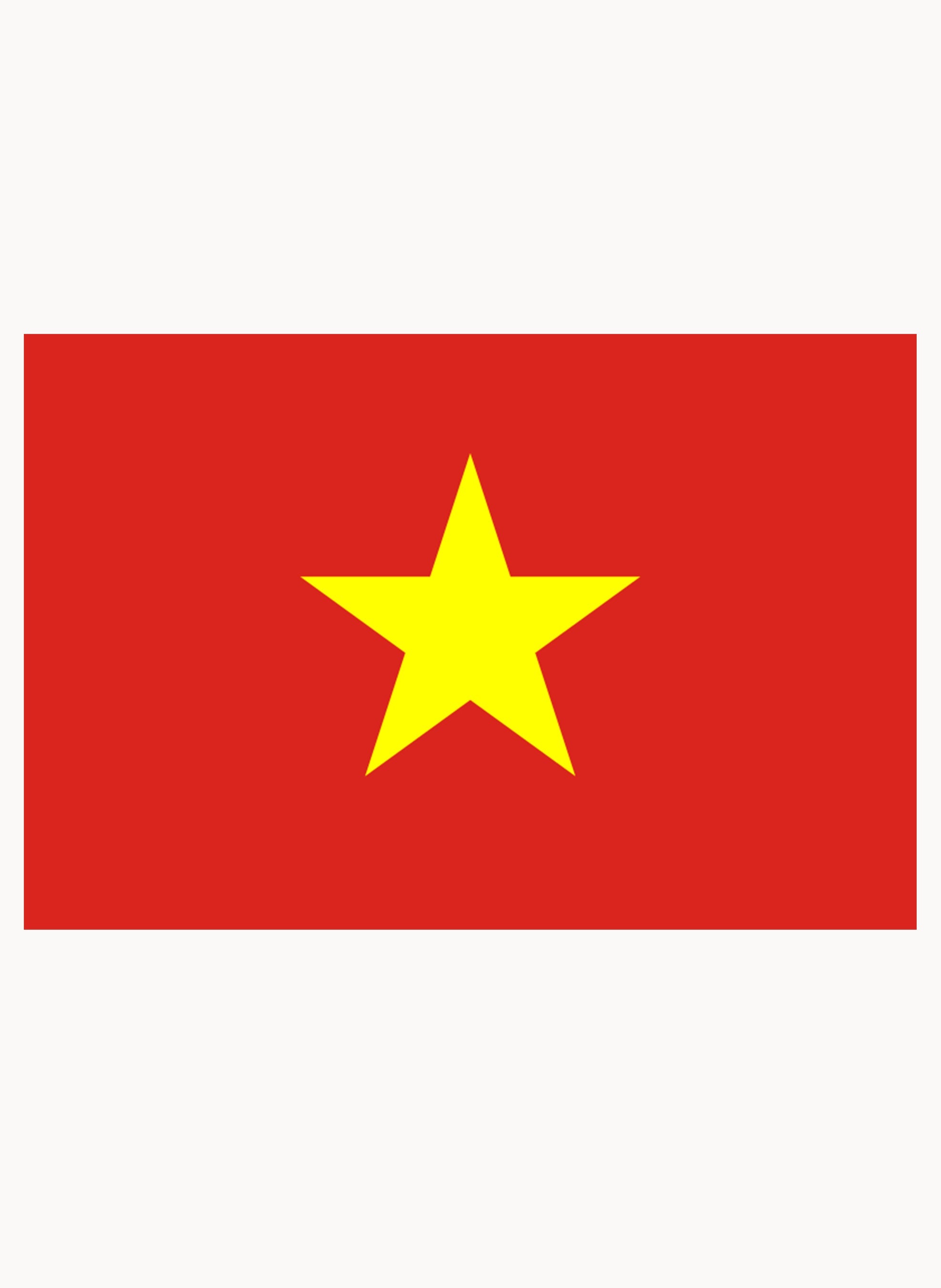 Vietnamese Flag Kids T-Shirt