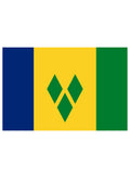 Vincentian Flag Kids T-Shirt