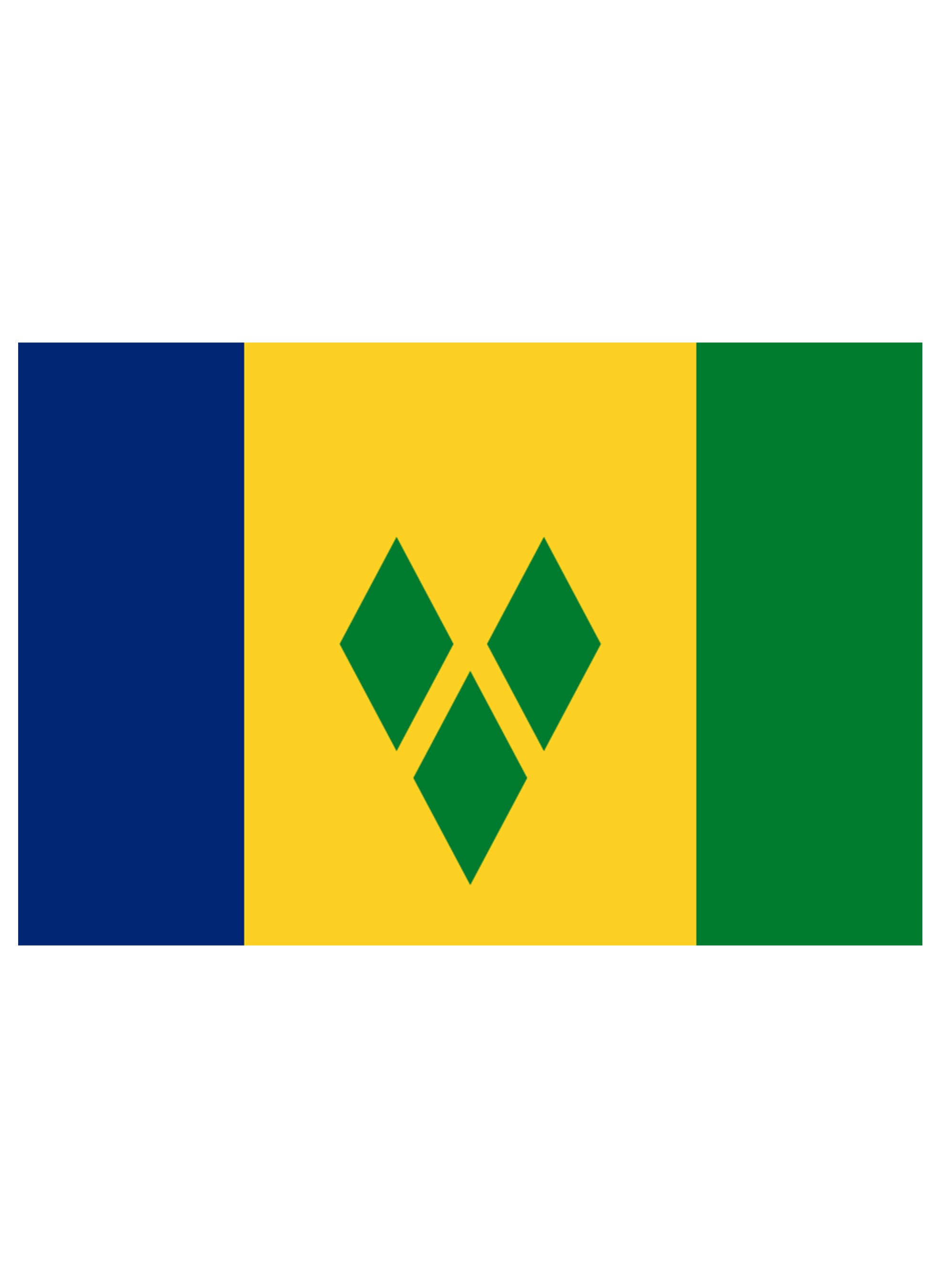 Vincentian Flag Kids T-Shirt