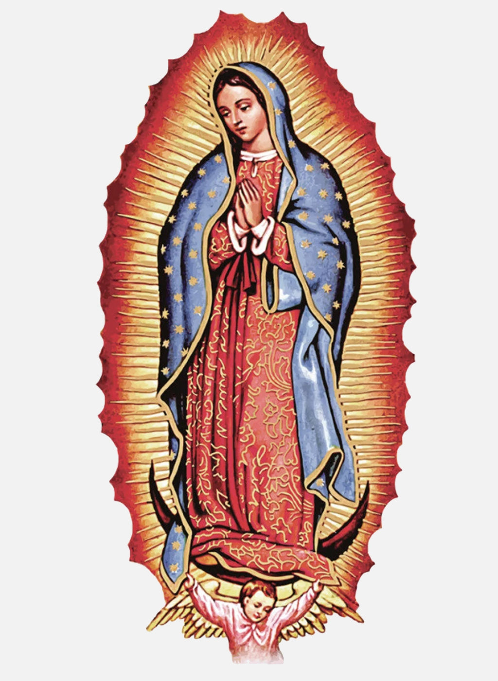 Virgin de Guadalupe T-Shirt