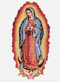 Virgin de Guadalupe T-Shirt