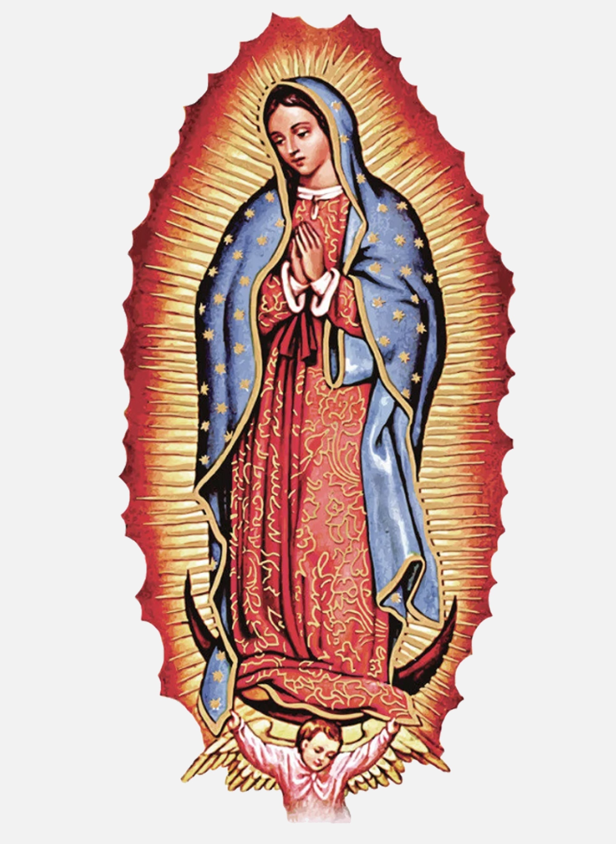 Virgin de Guadalupe T-Shirt