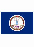 Virginia State Flag Kids T-Shirt