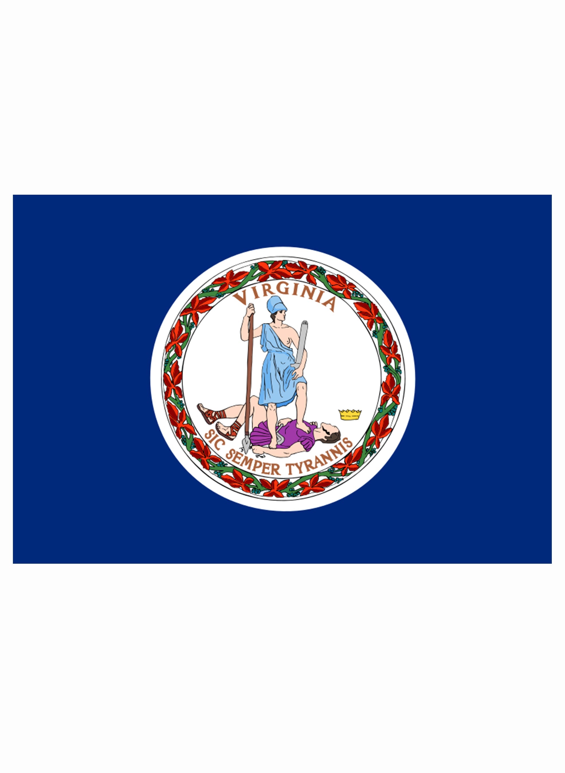 Virginia State Flag Kids T-Shirt