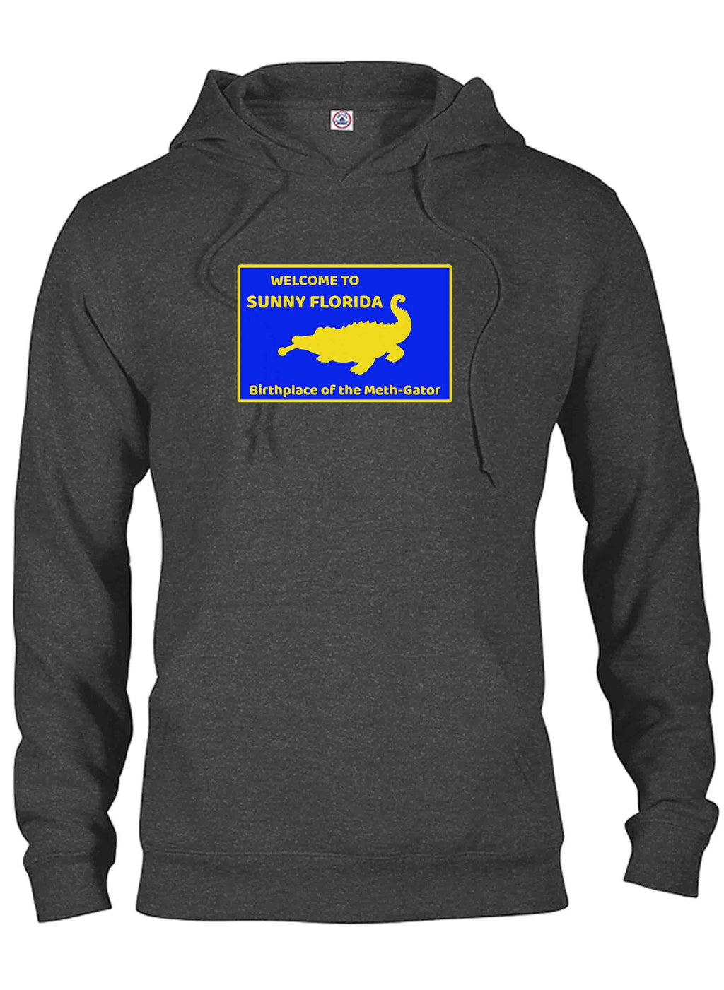 Welcome to Sunny Florida T-Shirt