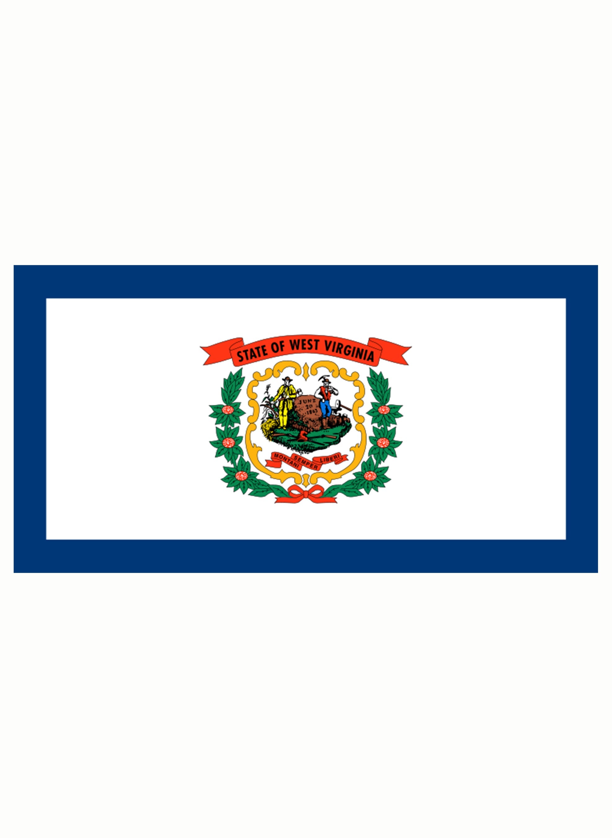 West Virginia State Flag Kids T-Shirt