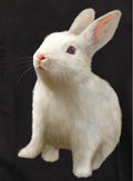 White Rabbit Kids T-Shirt