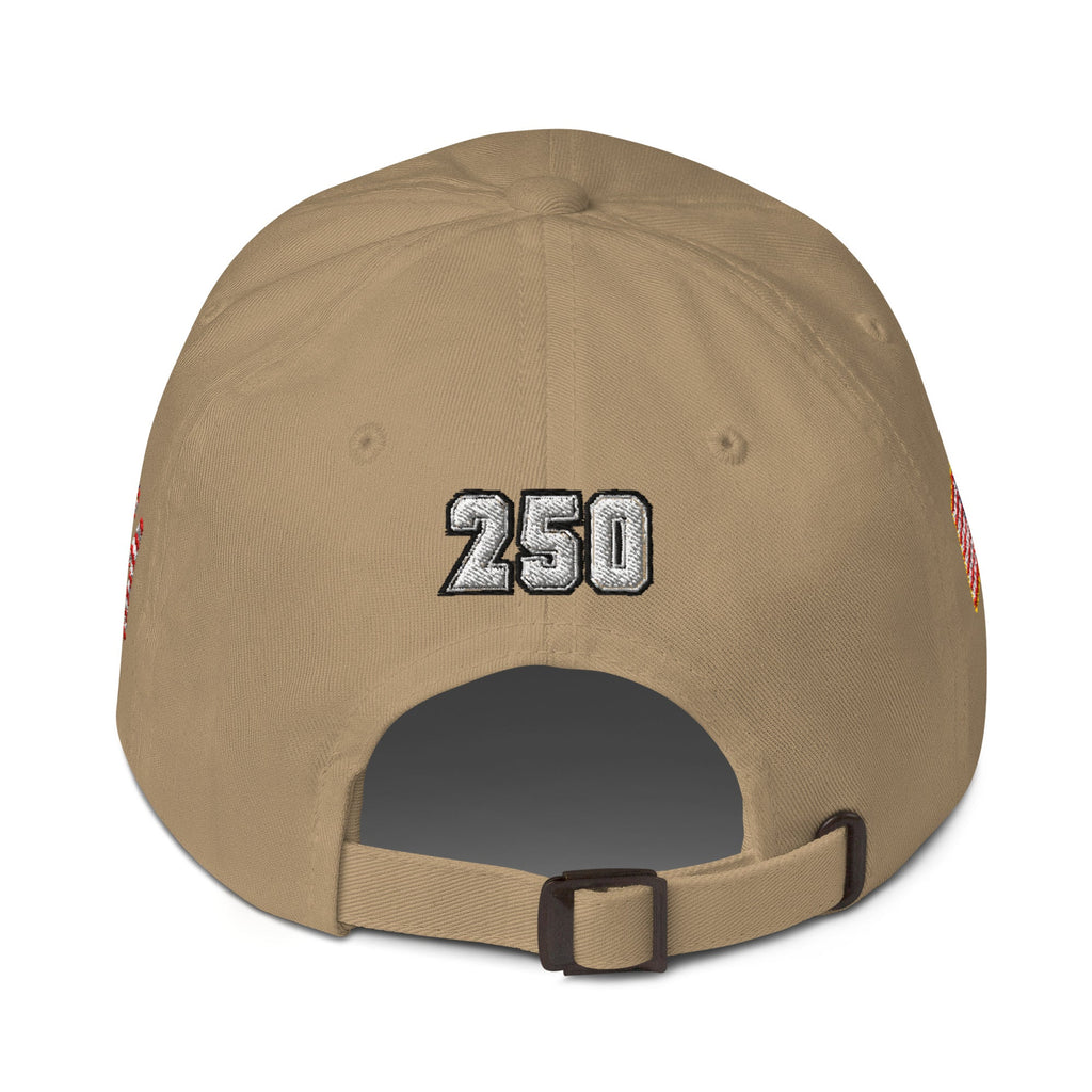 We The People - 250 year Baseball hat - 4 sided embroidery