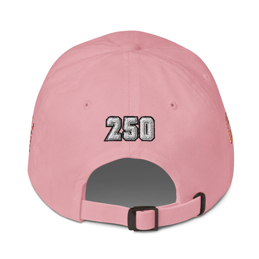 We The People - 250 year Baseball hat - 4 sided embroidery