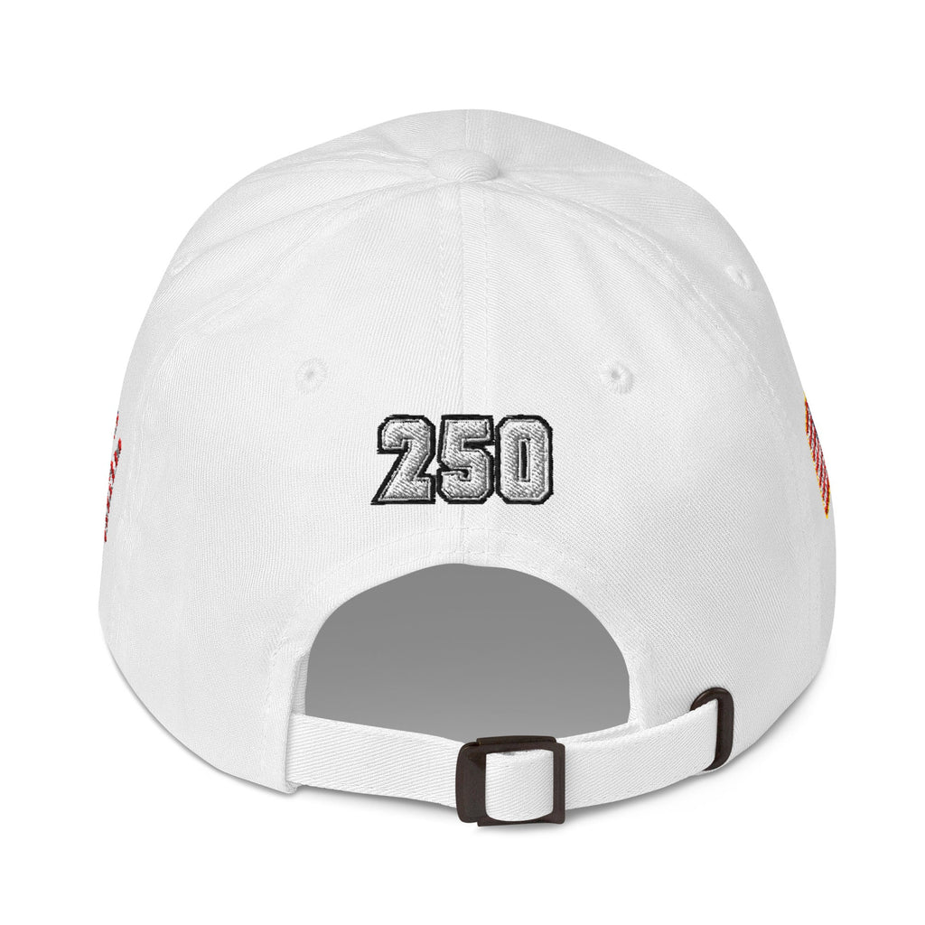 We The People - 250 year Baseball hat - 4 sided embroidery