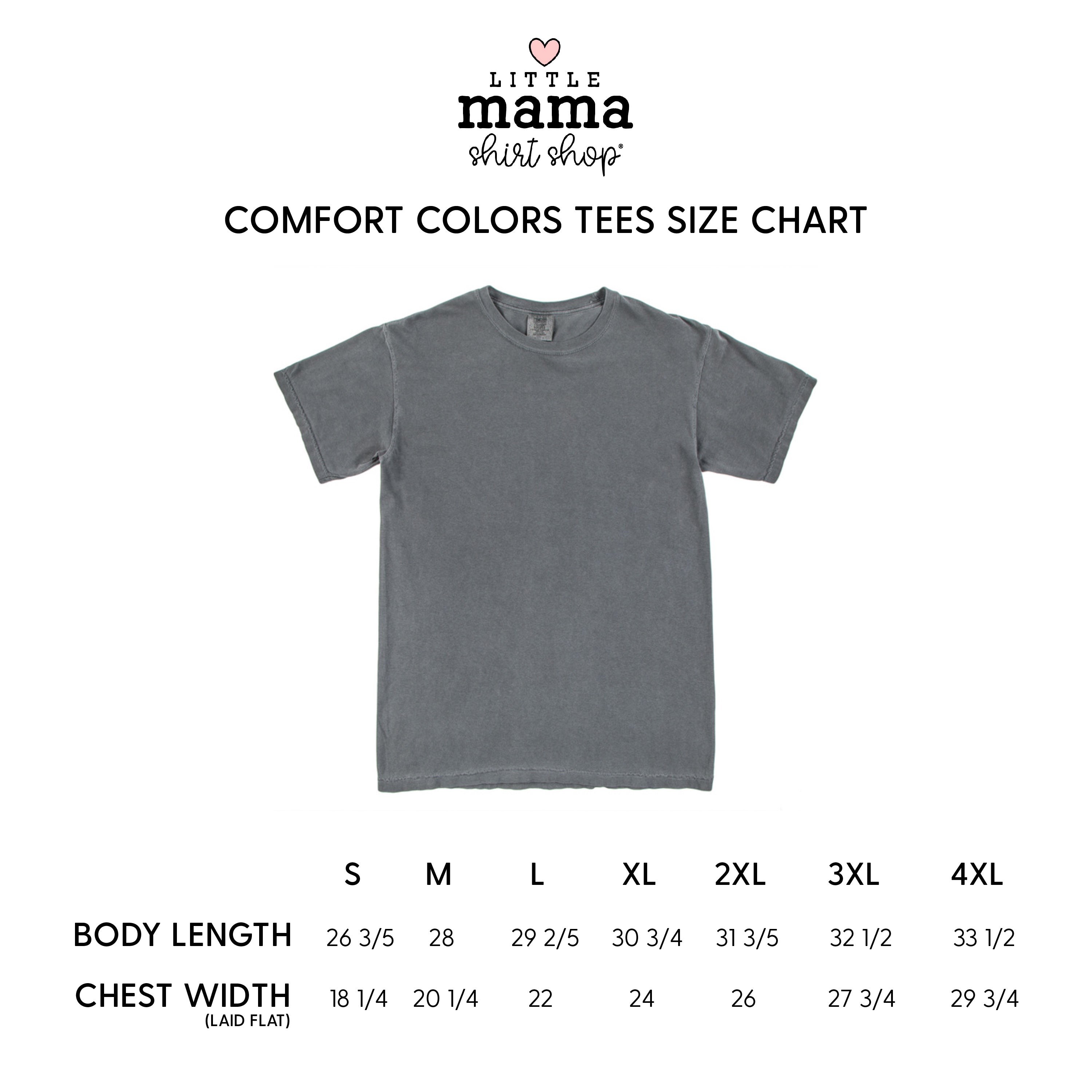 Snack Dealer - Comfort Colors Tee