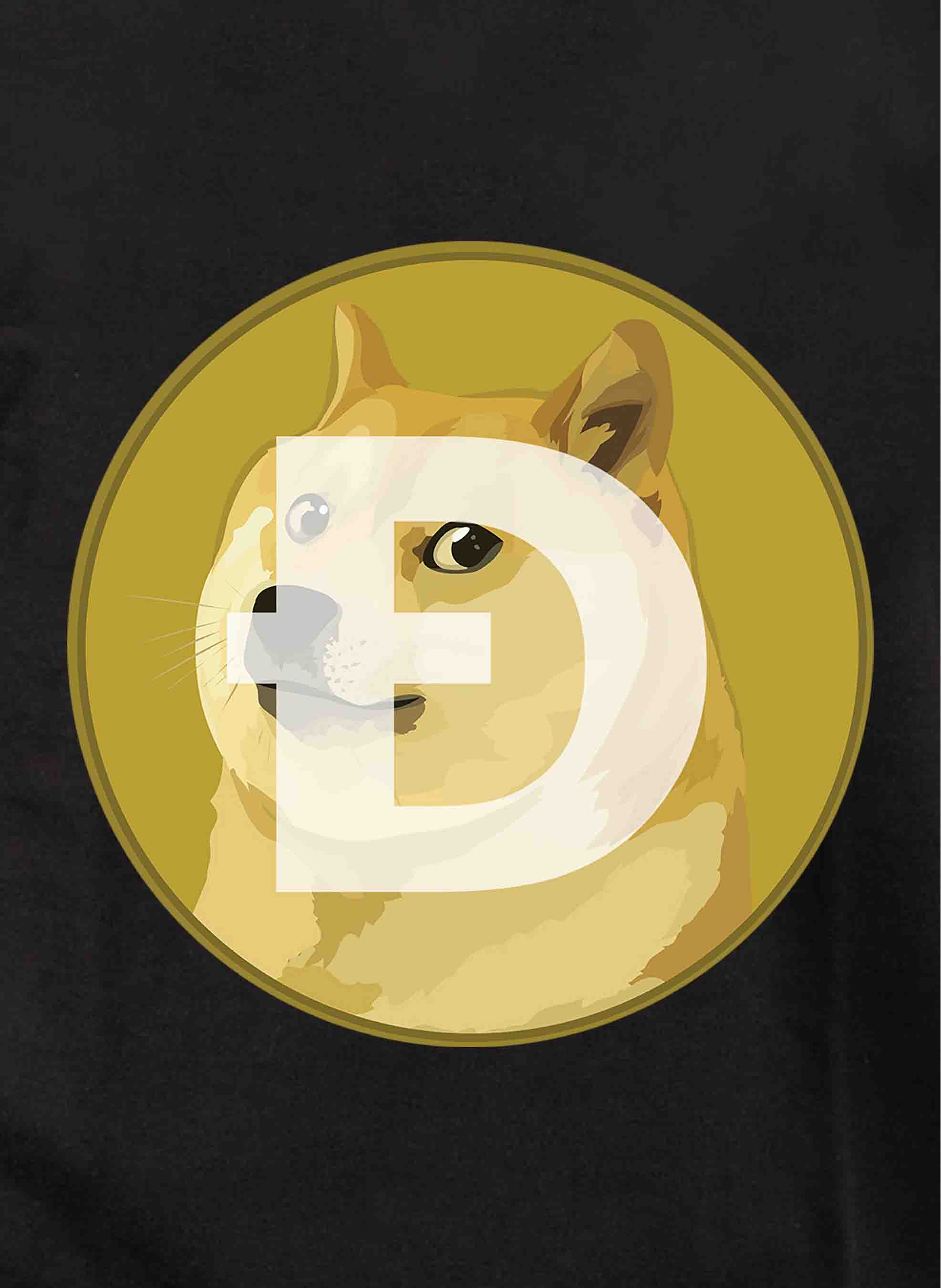Dogecoin Kids T-Shirt