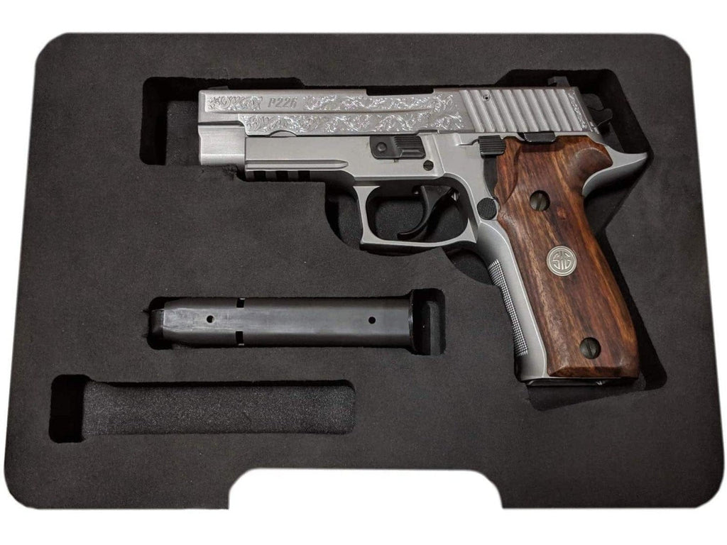 Pick & Pluck Pistol Case