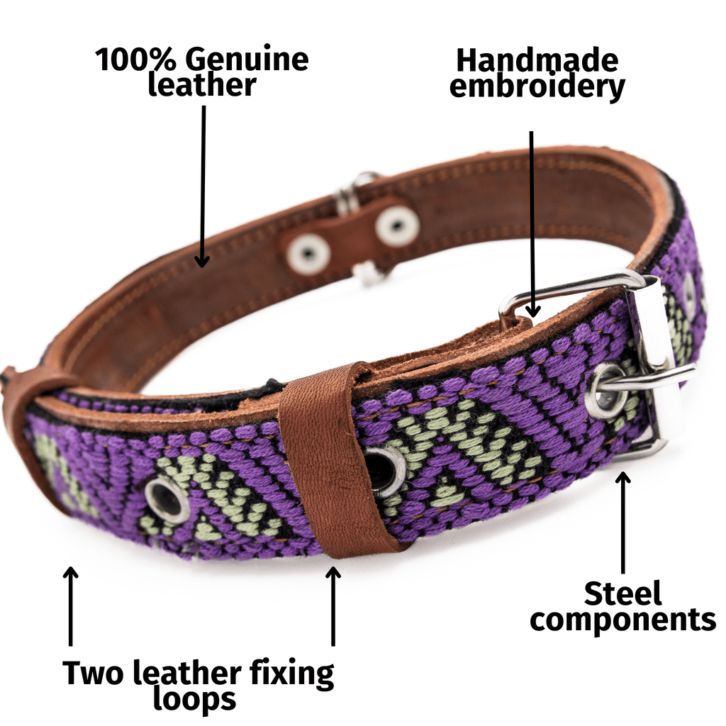 Handmade Leather Dog Collar — Aztec Embroidered | Amethyst