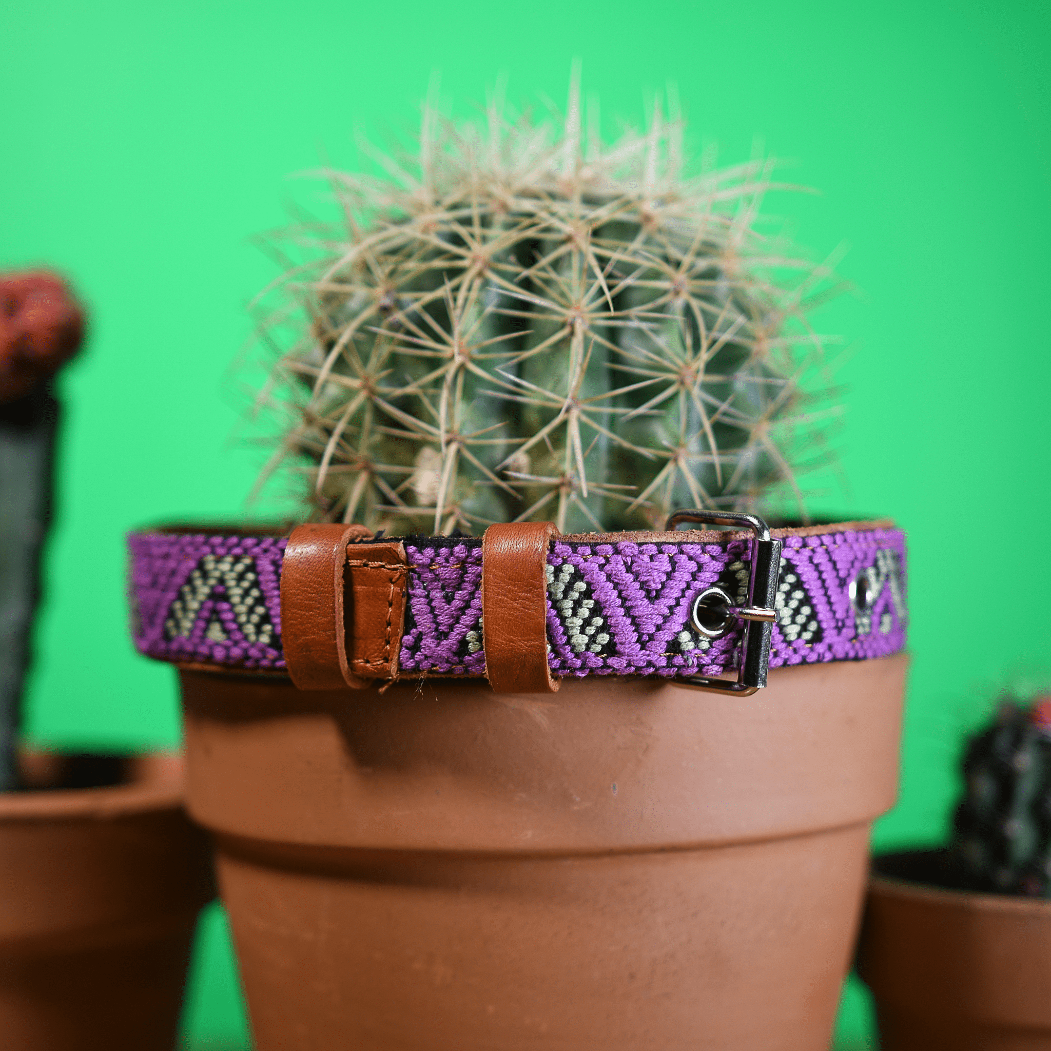 Handmade Leather Dog Collar — Aztec Embroidered | Amethyst